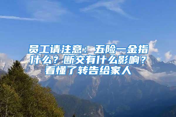 員工請注意：五險一金指什么？斷交有什么影響？看懂了轉(zhuǎn)告給家人