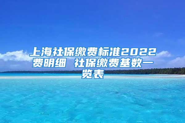 上海社保繳費(fèi)標(biāo)準(zhǔn)2022費(fèi)明細(xì) 社保繳費(fèi)基數(shù)一覽表