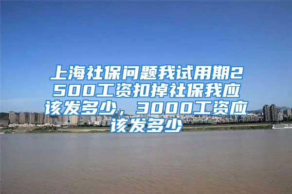 上海社保問題我試用期2500工資扣掉社保我應(yīng)該發(fā)多少，3000工資應(yīng)該發(fā)多少