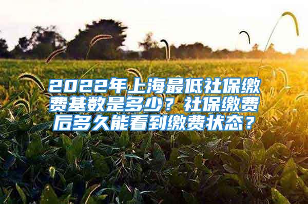 2022年上海最低社保繳費基數(shù)是多少？社保繳費后多久能看到繳費狀態(tài)？