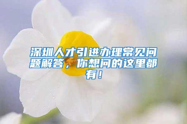 深圳人才引進(jìn)辦理常見(jiàn)問(wèn)題解答，你想問(wèn)的這里都有！