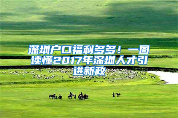 深圳戶口福利多多！一圖讀懂2017年深圳人才引進新政