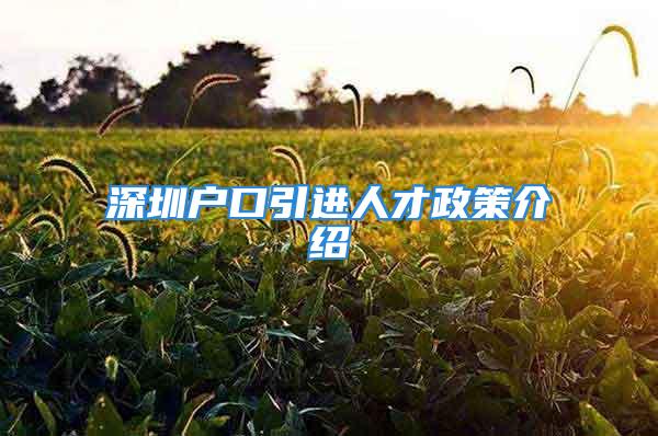 深圳戶口引進人才政策介紹