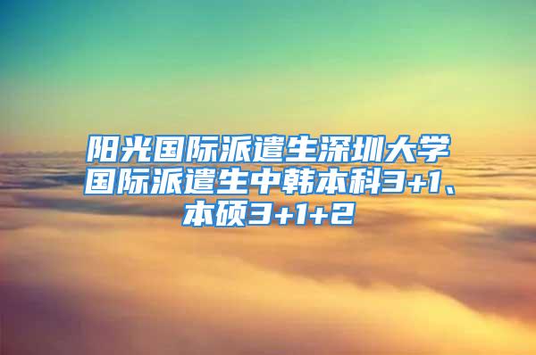 陽(yáng)光國(guó)際派遣生深圳大學(xué)國(guó)際派遣生中韓本科3+1、本碩3+1+2