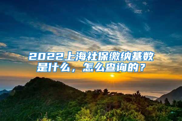 2022上海社保繳納基數(shù)是什么，怎么查詢(xún)的？