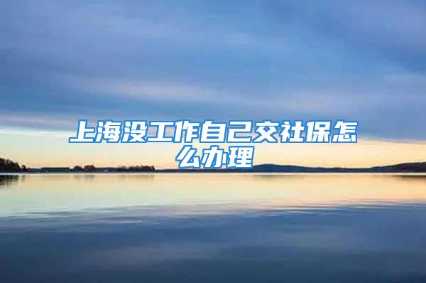 上海沒(méi)工作自己交社保怎么辦理