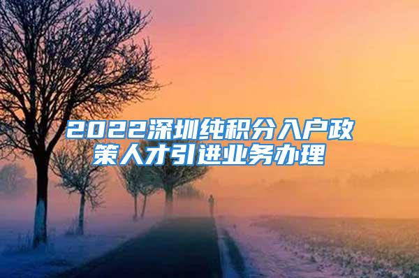 2022深圳純積分入戶政策人才引進(jìn)業(yè)務(wù)辦理