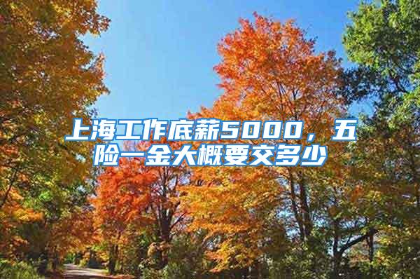 上海工作底薪5000，五險一金大概要交多少