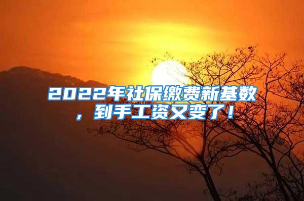 2022年社保繳費(fèi)新基數(shù)，到手工資又變了！