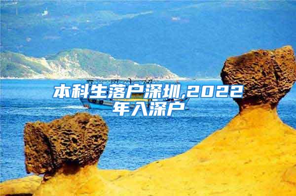 本科生落戶深圳,2022年入深戶