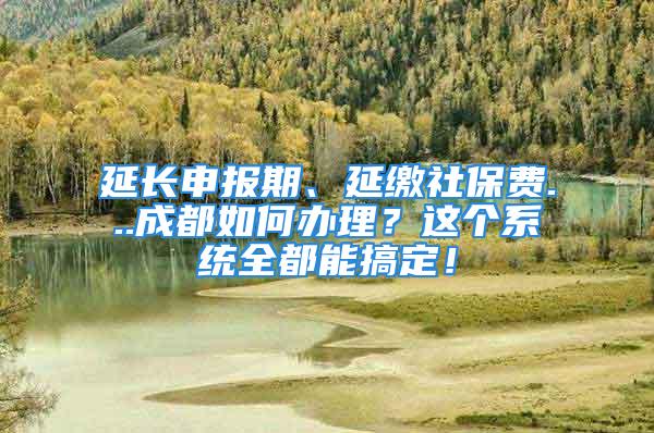 延長申報期、延繳社保費...成都如何辦理？這個系統(tǒng)全都能搞定！