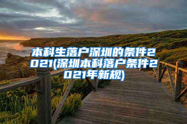 本科生落戶深圳的條件2021(深圳本科落戶條件2021年新規(guī))