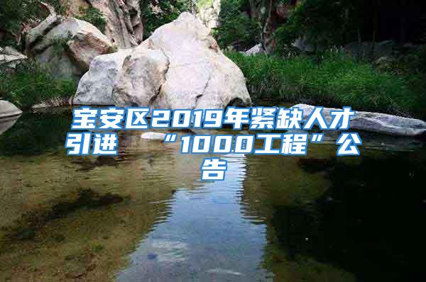 寶安區(qū)2019年緊缺人才引進(jìn)  “1000工程”公告