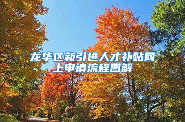 龍華區(qū)新引進人才補貼網上申請流程圖解