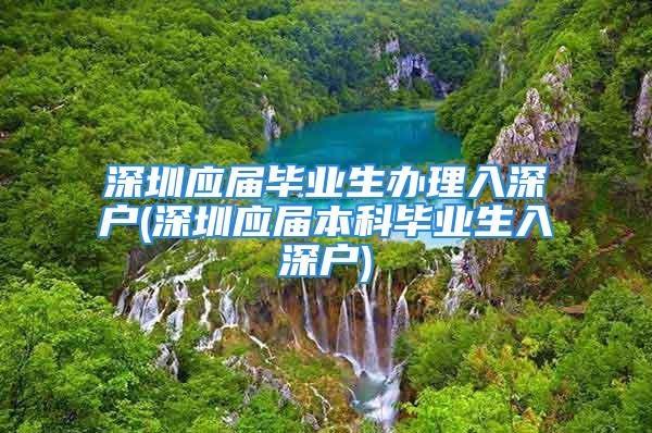 深圳應(yīng)屆畢業(yè)生辦理入深戶(深圳應(yīng)屆本科畢業(yè)生入深戶)