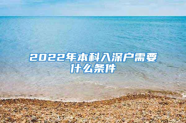 2022年本科入深戶需要什么條件