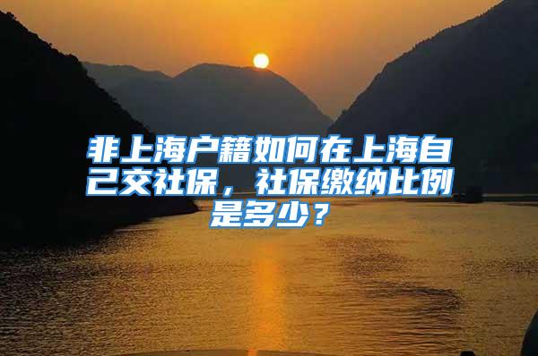 非上海戶籍如何在上海自己交社保，社保繳納比例是多少？