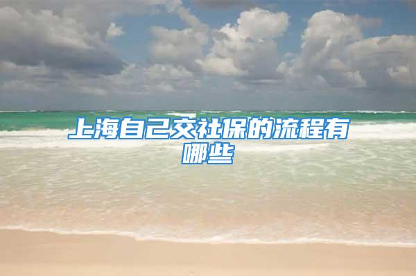 上海自己交社保的流程有哪些