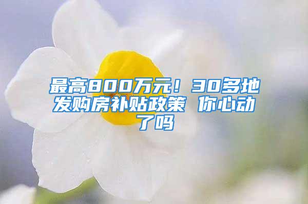 最高800萬(wàn)元！30多地發(fā)購(gòu)房補(bǔ)貼政策 你心動(dòng)了嗎