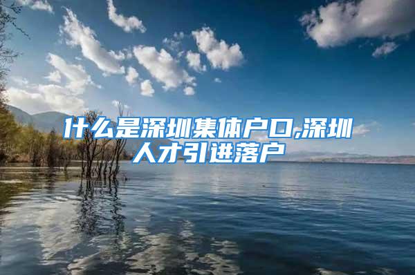 什么是深圳集體戶口,深圳人才引進(jìn)落戶