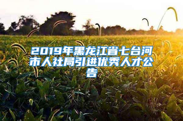 2019年黑龍江省七臺河市人社局引進優(yōu)秀人才公告