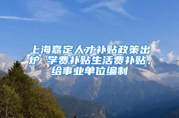 上海嘉定人才補貼政策出爐 學費補貼生活費補貼、給事業(yè)單位編制