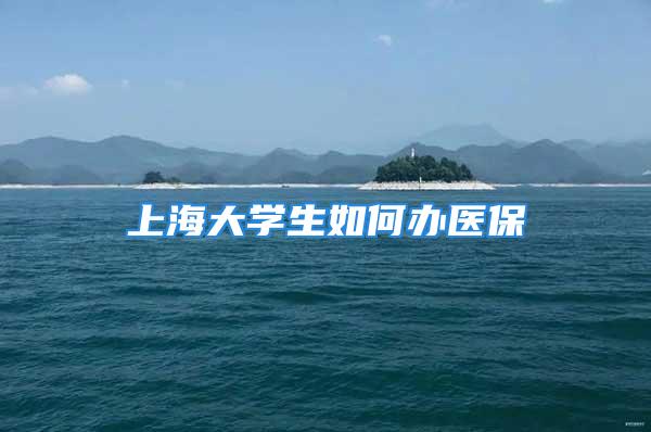 上海大學(xué)生如何辦醫(yī)保