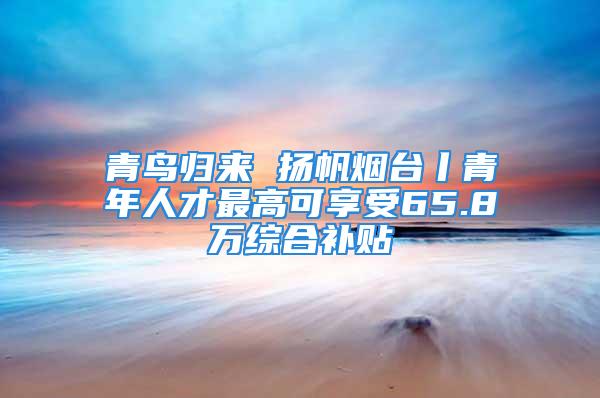 青鳥歸來 揚(yáng)帆煙臺(tái)丨青年人才最高可享受65.8萬綜合補(bǔ)貼