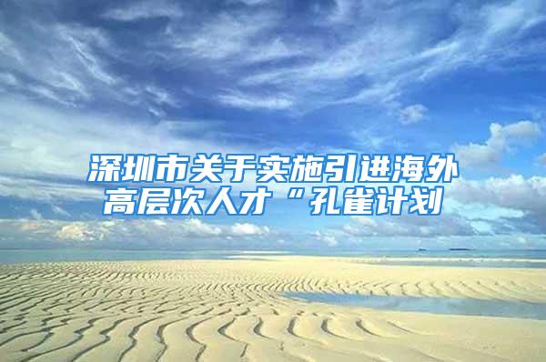 深圳市關于實施引進海外高層次人才“孔雀計劃