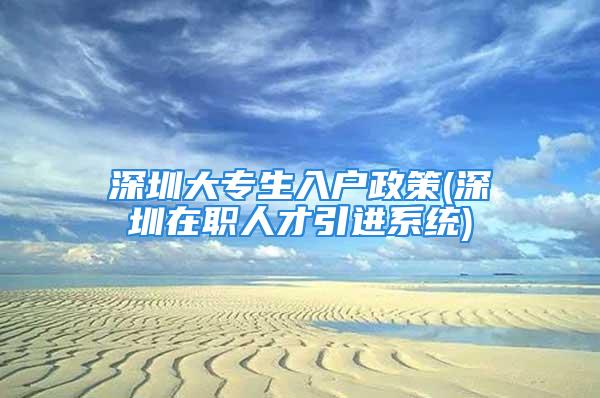 深圳大專生入戶政策(深圳在職人才引進(jìn)系統(tǒng))