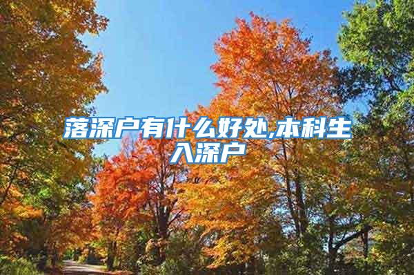 落深戶有什么好處,本科生入深戶