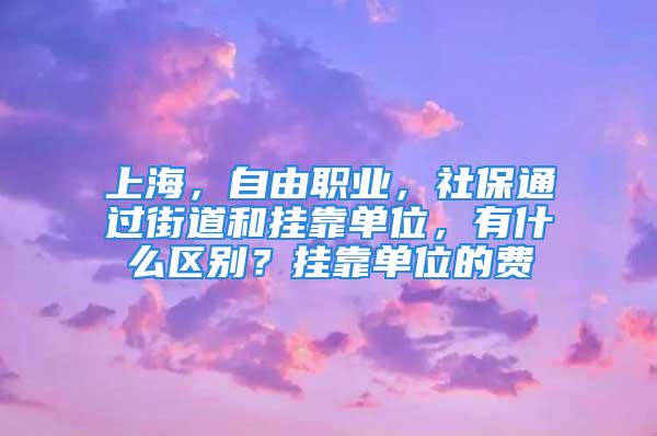 上海，自由職業(yè)，社保通過街道和掛靠單位，有什么區(qū)別？掛靠單位的費