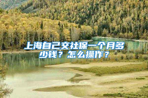 上海自己交社保一個(gè)月多少錢？怎么操作？