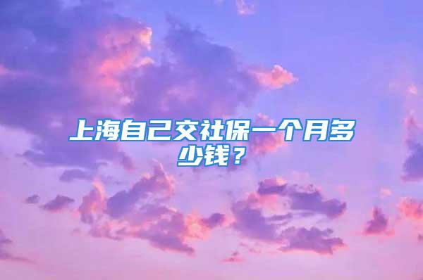 上海自己交社保一個月多少錢？