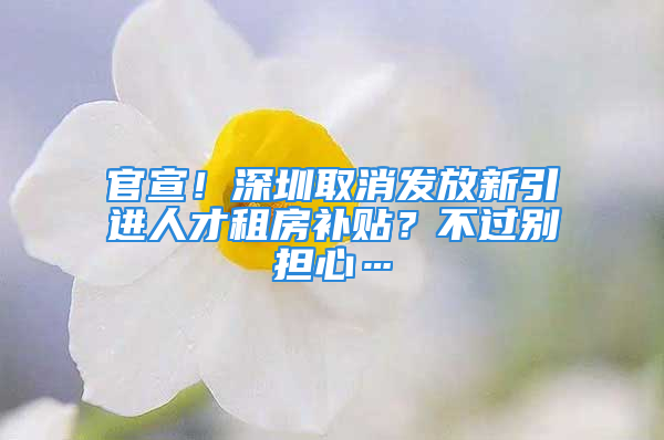 官宣！深圳取消發(fā)放新引進人才租房補貼？不過別擔(dān)心…