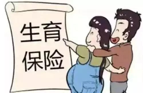 談談非深戶生育險為什么在社保網(wǎng)上查不到