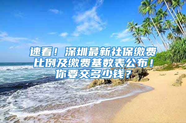 速看！深圳最新社保繳費比例及繳費基數(shù)表公布！你要交多少錢？