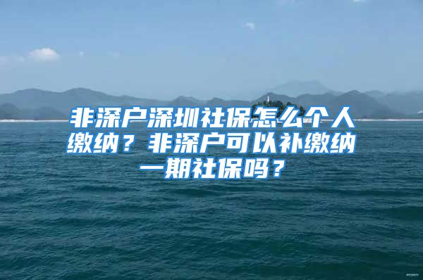 非深戶深圳社保怎么個人繳納？非深戶可以補繳納一期社保嗎？