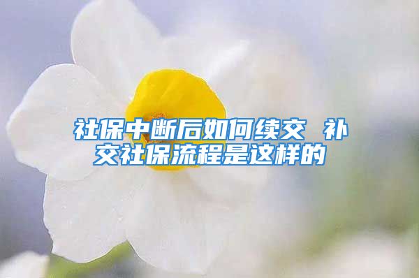 社保中斷后如何續(xù)交 補交社保流程是這樣的