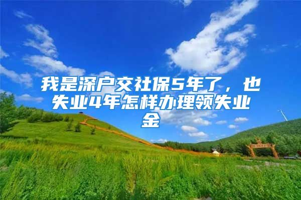 我是深戶交社保5年了，也失業(yè)4年怎樣辦理領(lǐng)失業(yè)金