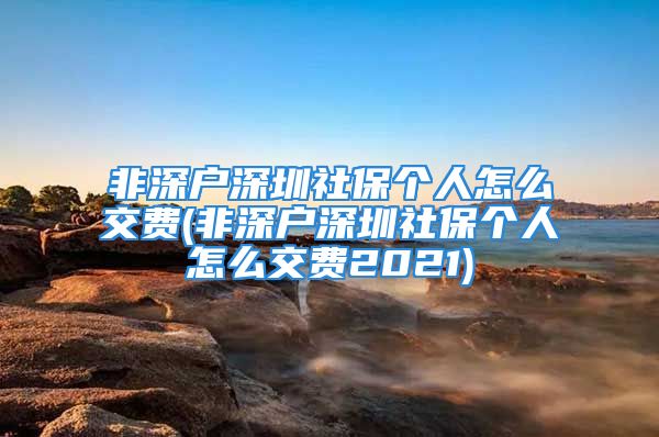 非深戶深圳社保個人怎么交費(非深戶深圳社保個人怎么交費2021)