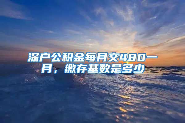 深戶公積金每月交480一月，繳存基數(shù)是多少