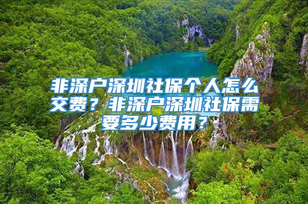 非深戶深圳社保個(gè)人怎么交費(fèi)？非深戶深圳社保需要多少費(fèi)用？