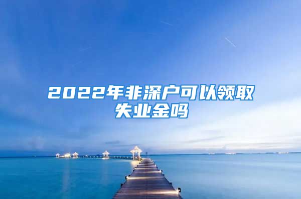 2022年非深戶可以領(lǐng)取失業(yè)金嗎