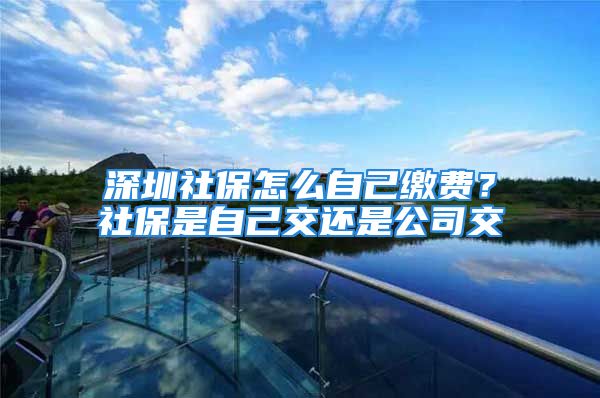 深圳社保怎么自己繳費(fèi)？社保是自己交還是公司交