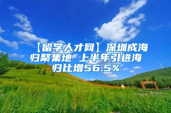 【留學(xué)人才網(wǎng)】深圳成海歸聚集地 上半年引進海歸比增56.5%