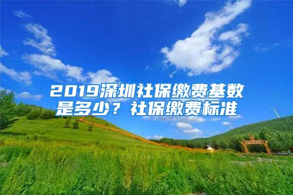 2019深圳社保繳費基數(shù)是多少？社保繳費標準