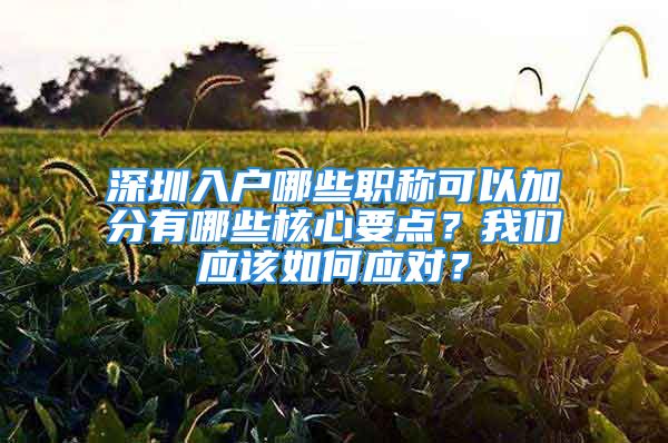 深圳入戶哪些職稱可以加分有哪些核心要點(diǎn)？我們應(yīng)該如何應(yīng)對？