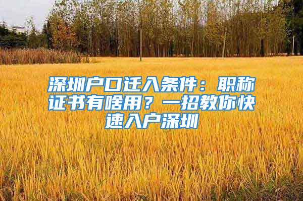 深圳戶口遷入條件：職稱證書(shū)有啥用？一招教你快速入戶深圳