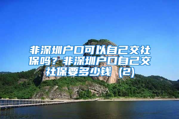 非深圳戶口可以自己交社保嗎？非深圳戶口自己交社保要多少錢(qián) (2)